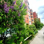 ул Заречная, 31к4 