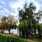 ул Суздальская, 10к3 